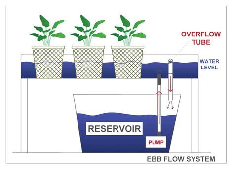 diy ebb and flow|how does ebb and flow work.